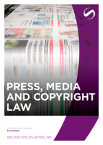 SCHINDHELM_BF_2026-02_EN_Press-Media-and-Copyright-law.pdf