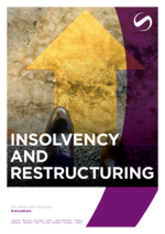 SCHINDHELM_BF_2026-02_EN_Insolvency-and-Restructuring.pdf